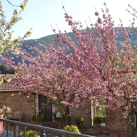 Séjour à la campagne Podere Vignola Pontassieve