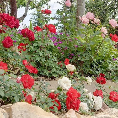 Podere Vignola Pontassieve