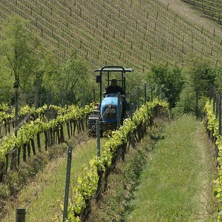 Podere Vignola Venkovský dům *