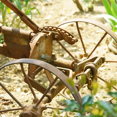 Venkovský dům Podere Vignola Pontassieve