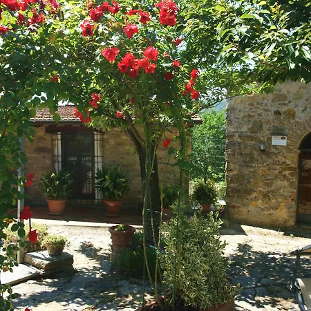 Venkovský dům Podere Vignola